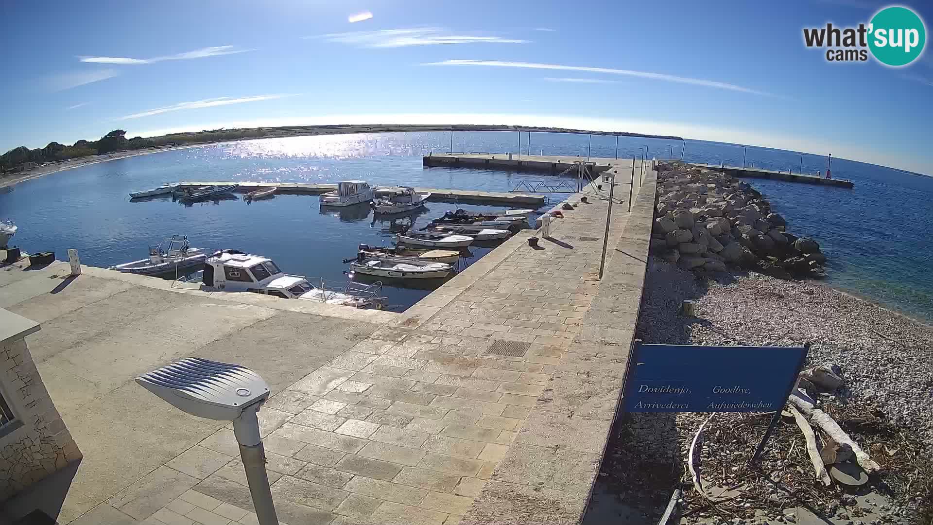 Webcam Isola di Unije – Esplora la bellezza della gemma nascosta della Croazia