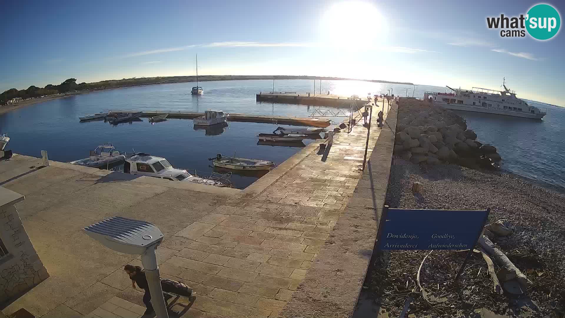 Cámara web de la isla de Unije: explore la belleza de la joya escondida de Croacia