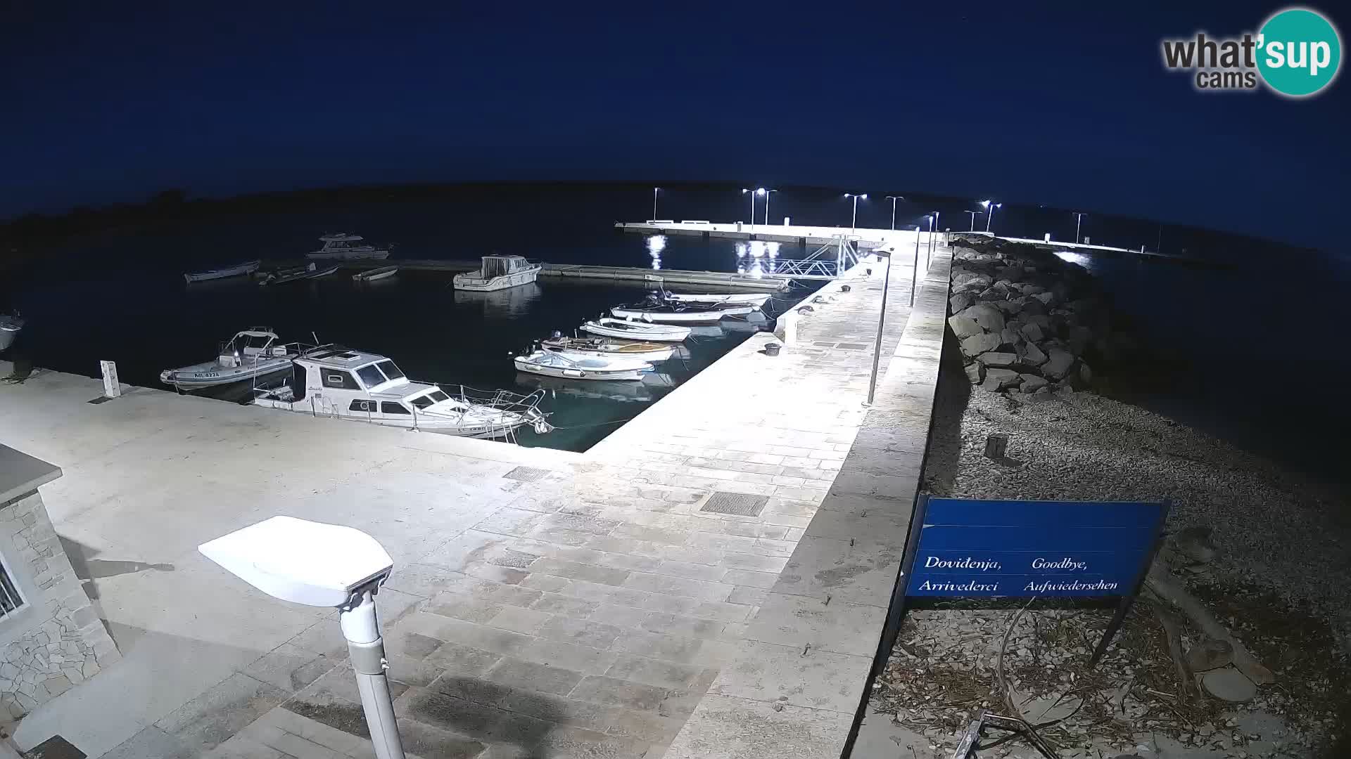 Cámara web de la isla de Unije: explore la belleza de la joya escondida de Croacia