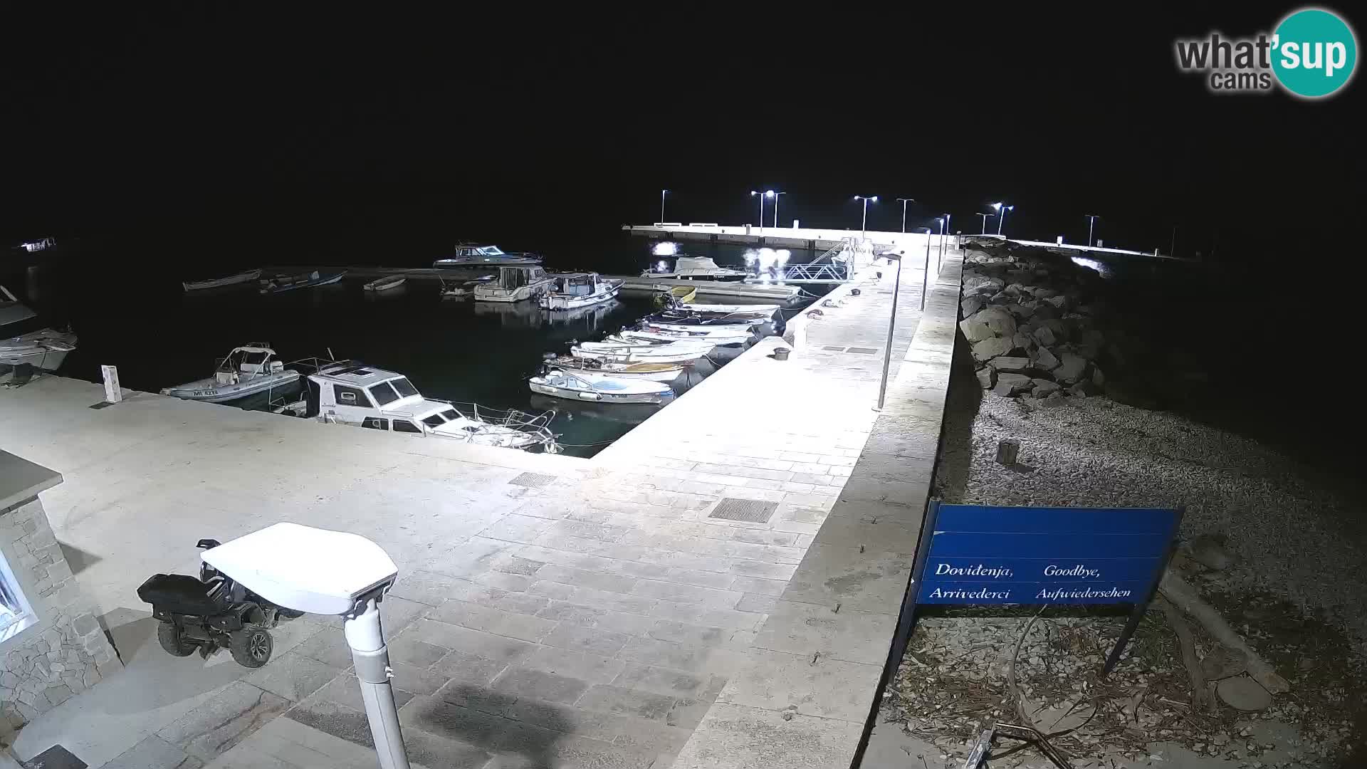 Cámara web de la isla de Unije: explore la belleza de la joya escondida de Croacia