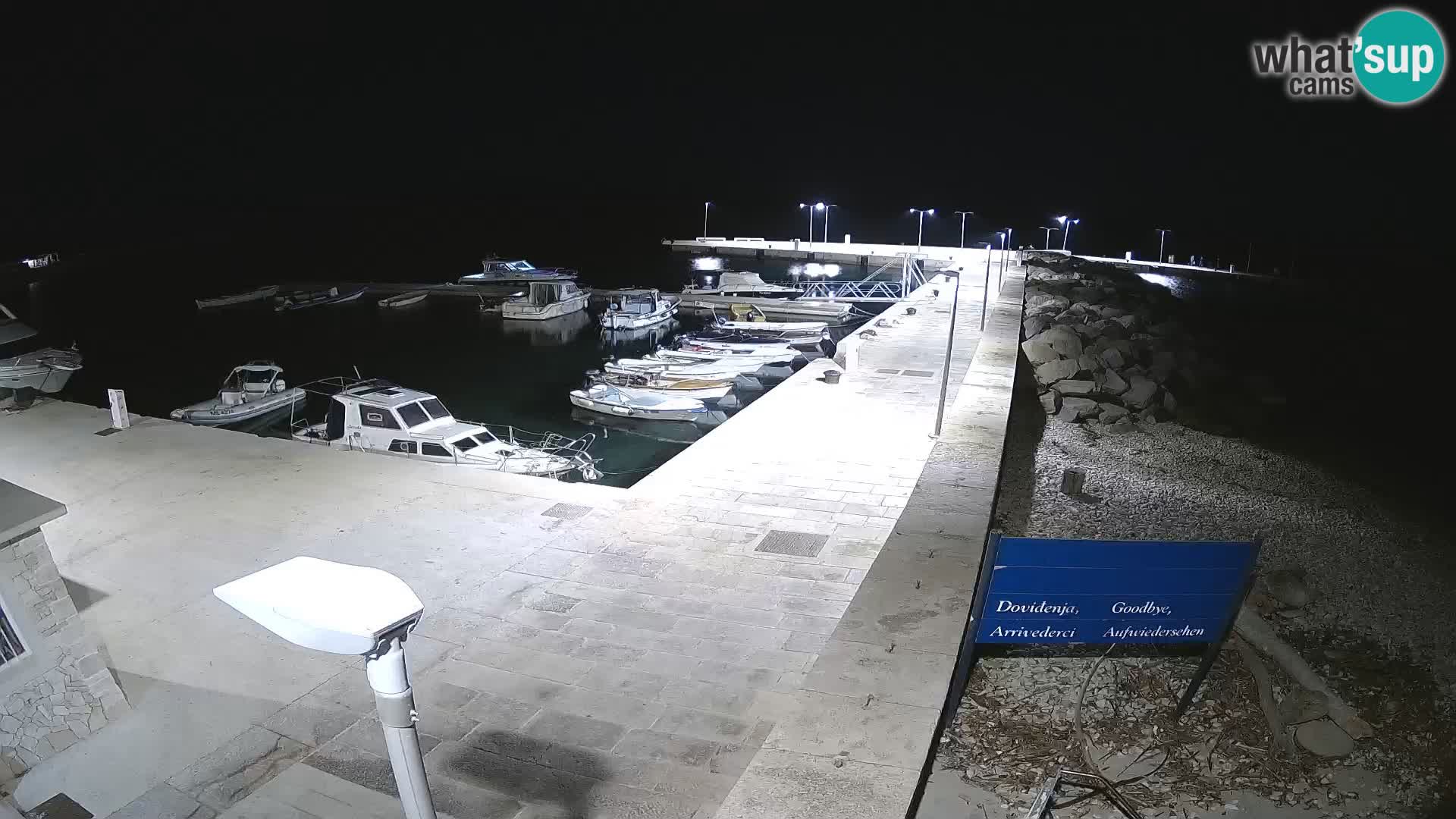 Webcam Isola di Unije – Esplora la bellezza della gemma nascosta della Croazia