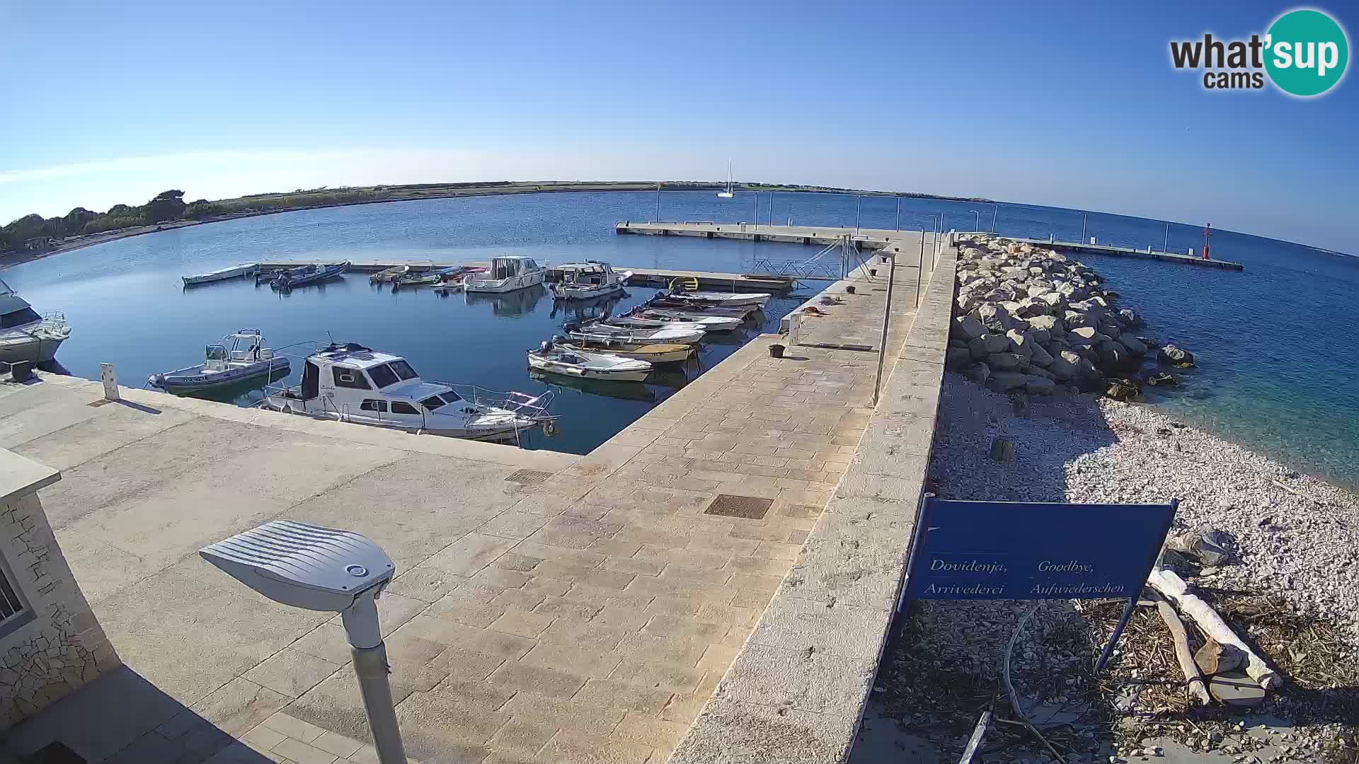 Cámara web de la isla de Unije: explore la belleza de la joya escondida de Croacia