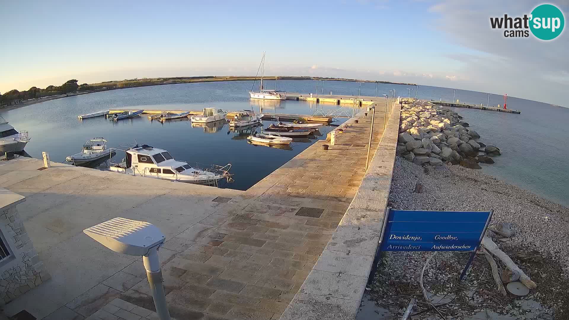 Cámara web de la isla de Unije: explore la belleza de la joya escondida de Croacia