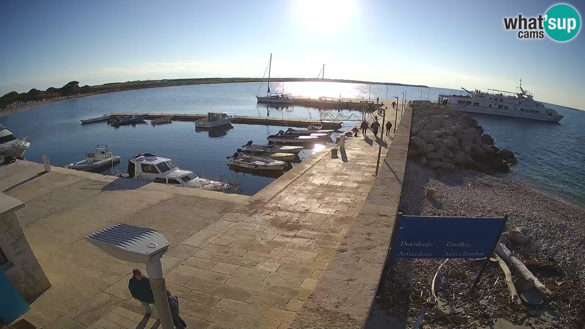 Cámara web de la isla de Unije: explore la belleza de la joya escondida de Croacia