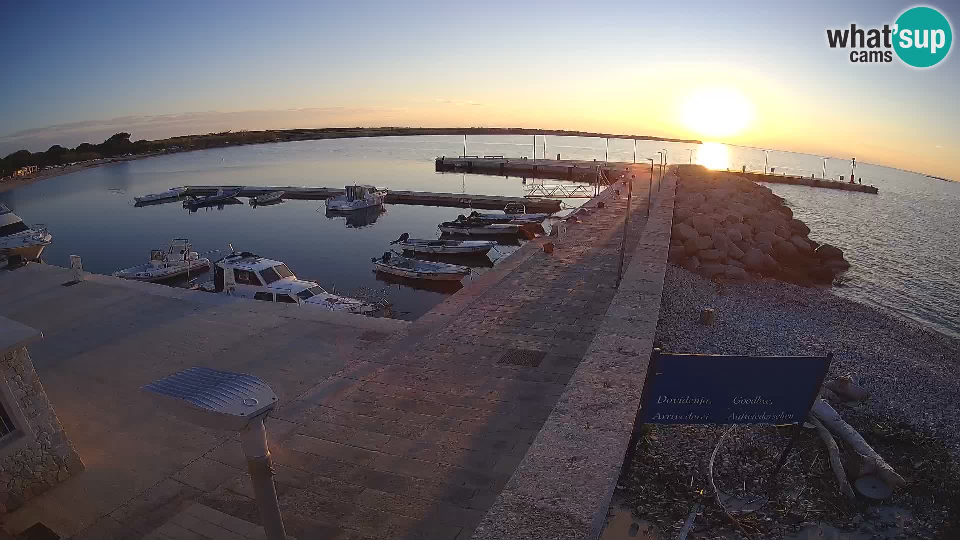 Cámara web de la isla de Unije: explore la belleza de la joya escondida de Croacia