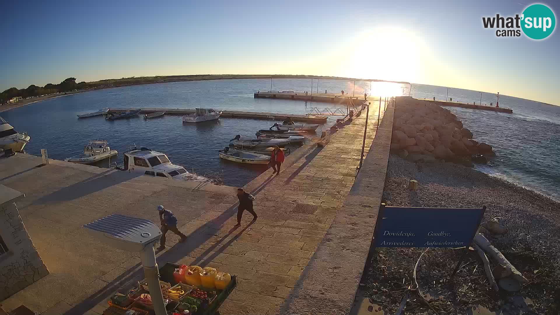Cámara web de la isla de Unije: explore la belleza de la joya escondida de Croacia