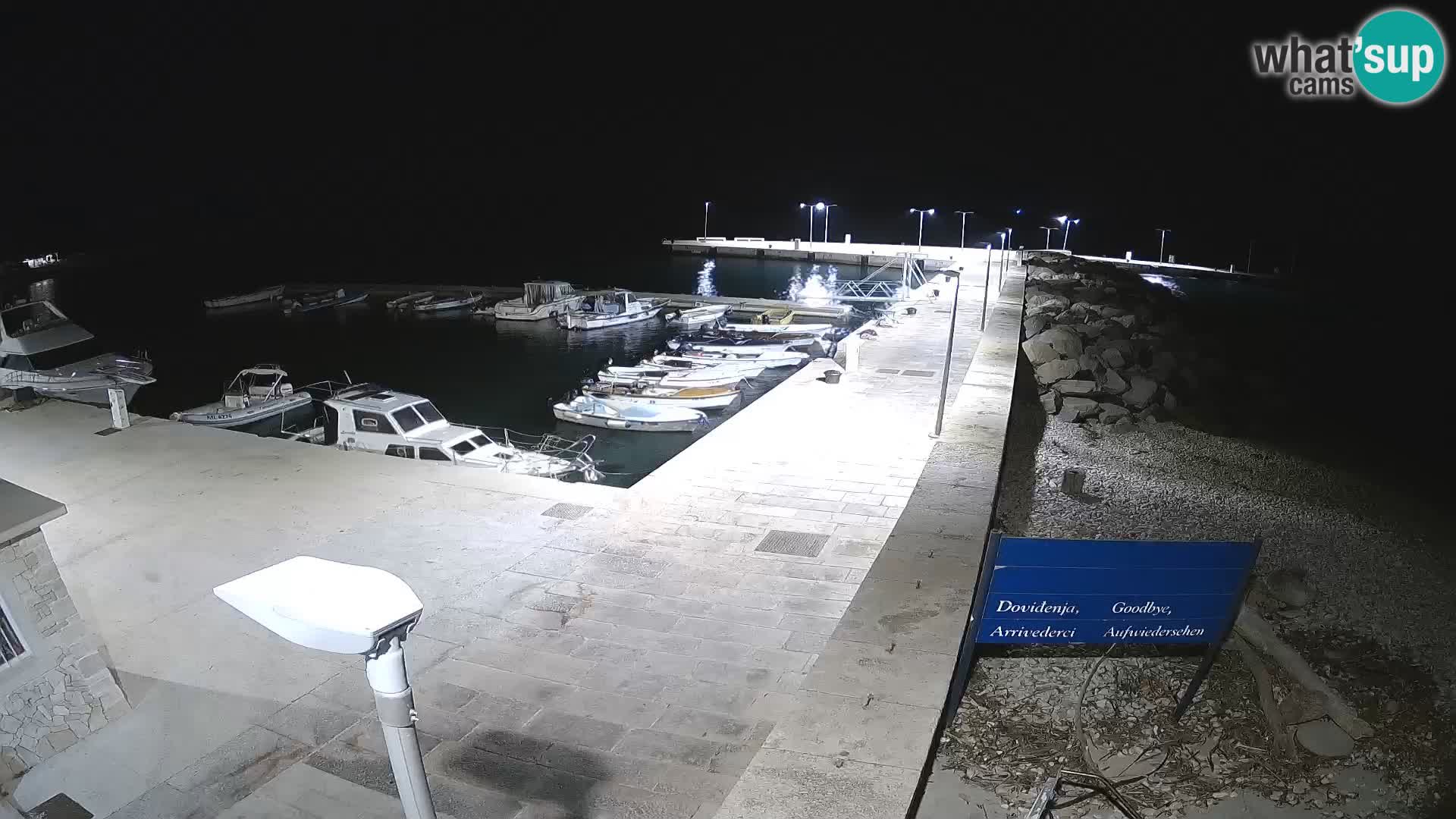 Webcam Isola di Unije – Esplora la bellezza della gemma nascosta della Croazia