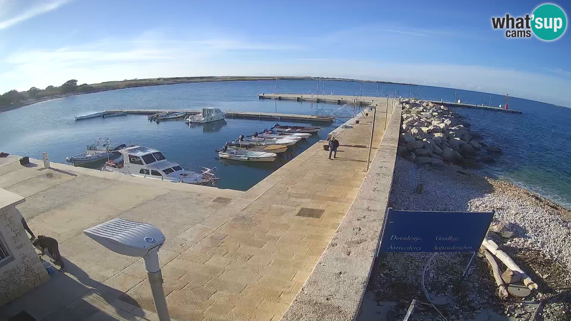 Cámara web de la isla de Unije: explore la belleza de la joya escondida de Croacia