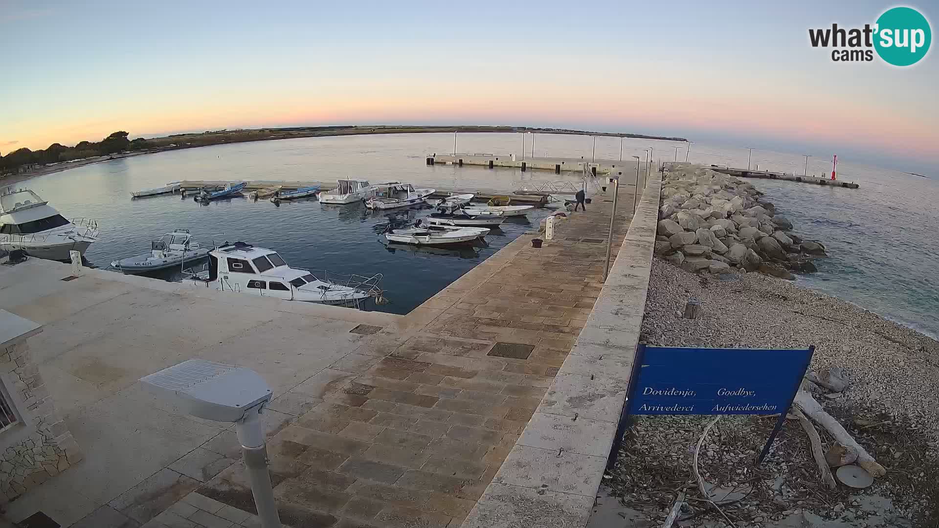 Cámara web de la isla de Unije: explore la belleza de la joya escondida de Croacia