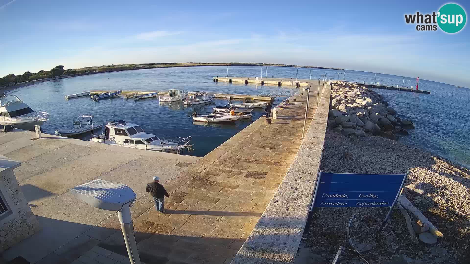 Cámara web de la isla de Unije: explore la belleza de la joya escondida de Croacia