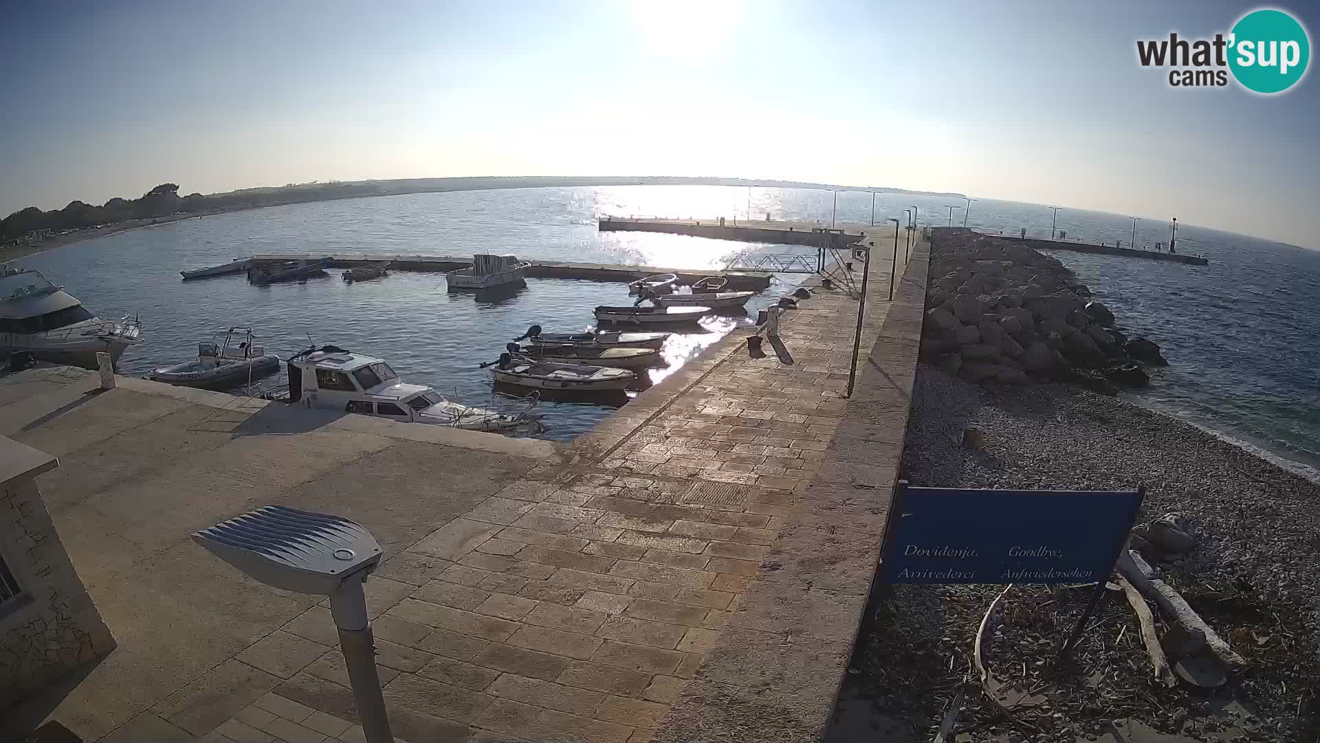 Cámara web de la isla de Unije: explore la belleza de la joya escondida de Croacia