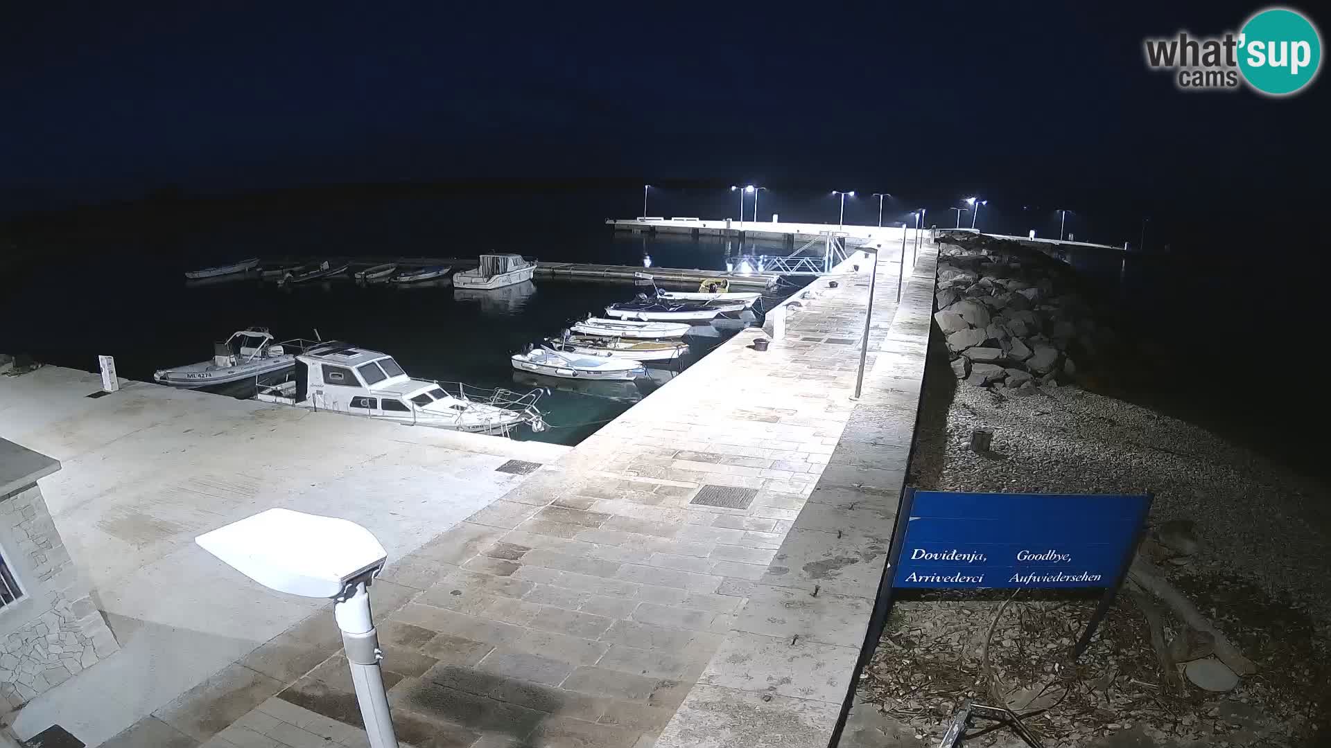 Cámara web de la isla de Unije: explore la belleza de la joya escondida de Croacia