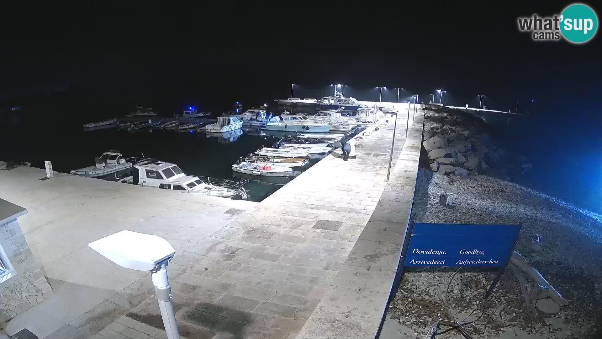 Webcam de l’île d’Unije – Explorez la beauté du joyau caché de la Croatie