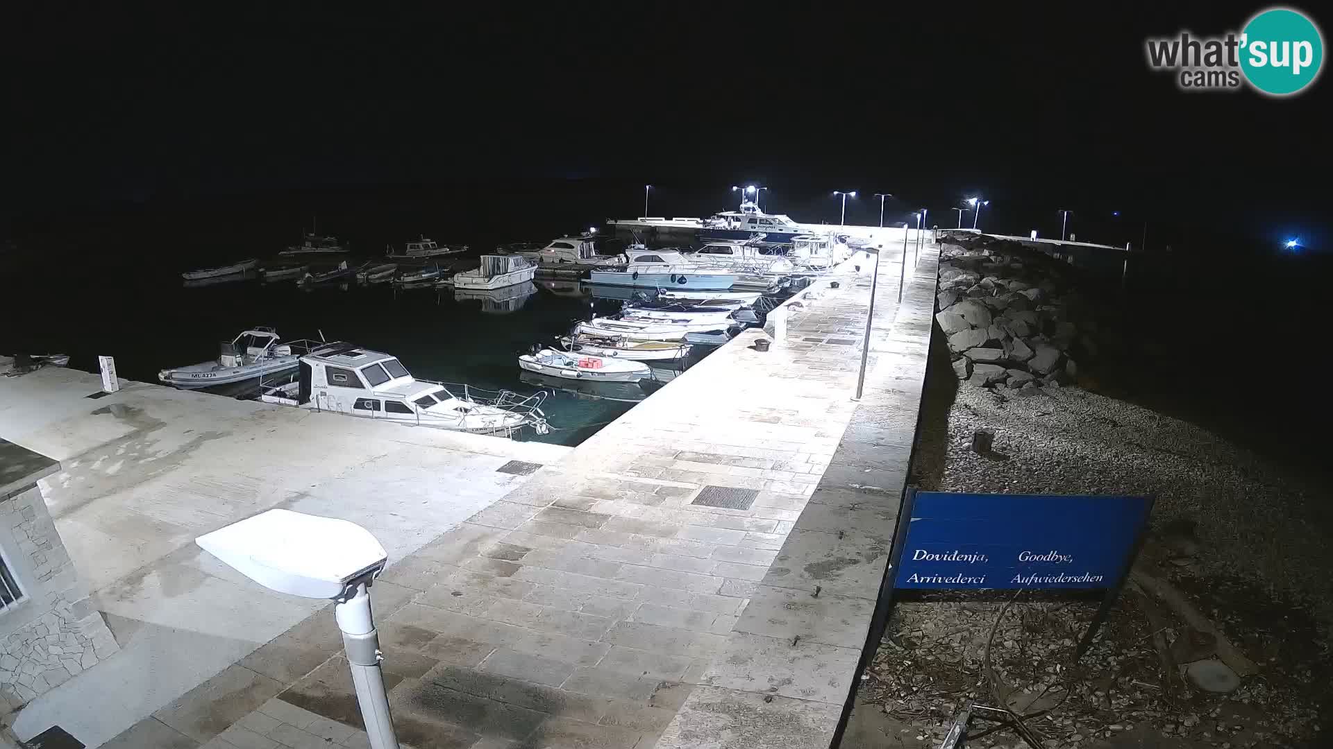 Cámara web de la isla de Unije: explore la belleza de la joya escondida de Croacia