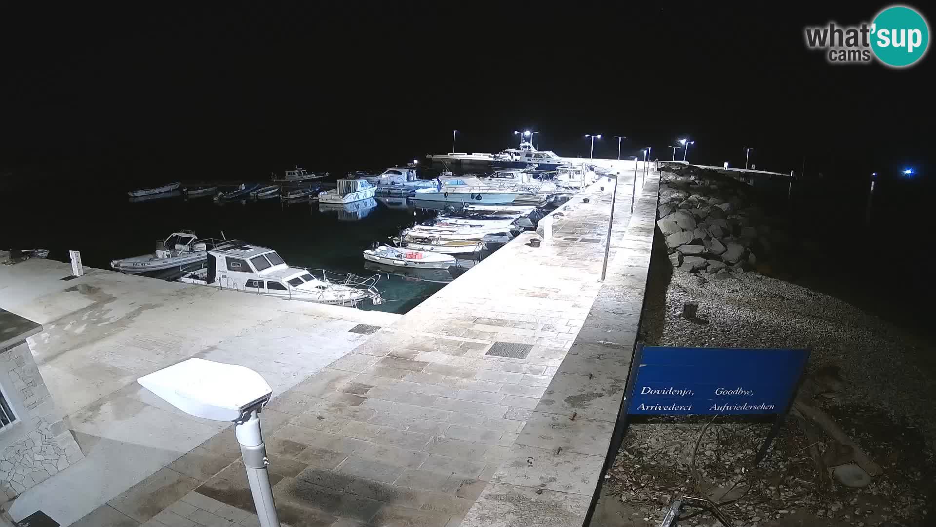 Cámara web de la isla de Unije: explore la belleza de la joya escondida de Croacia