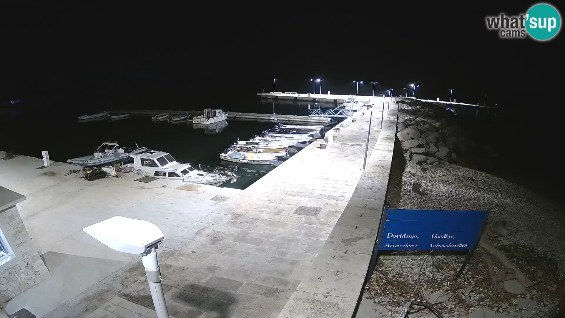 Cámara web de la isla de Unije: explore la belleza de la joya escondida de Croacia