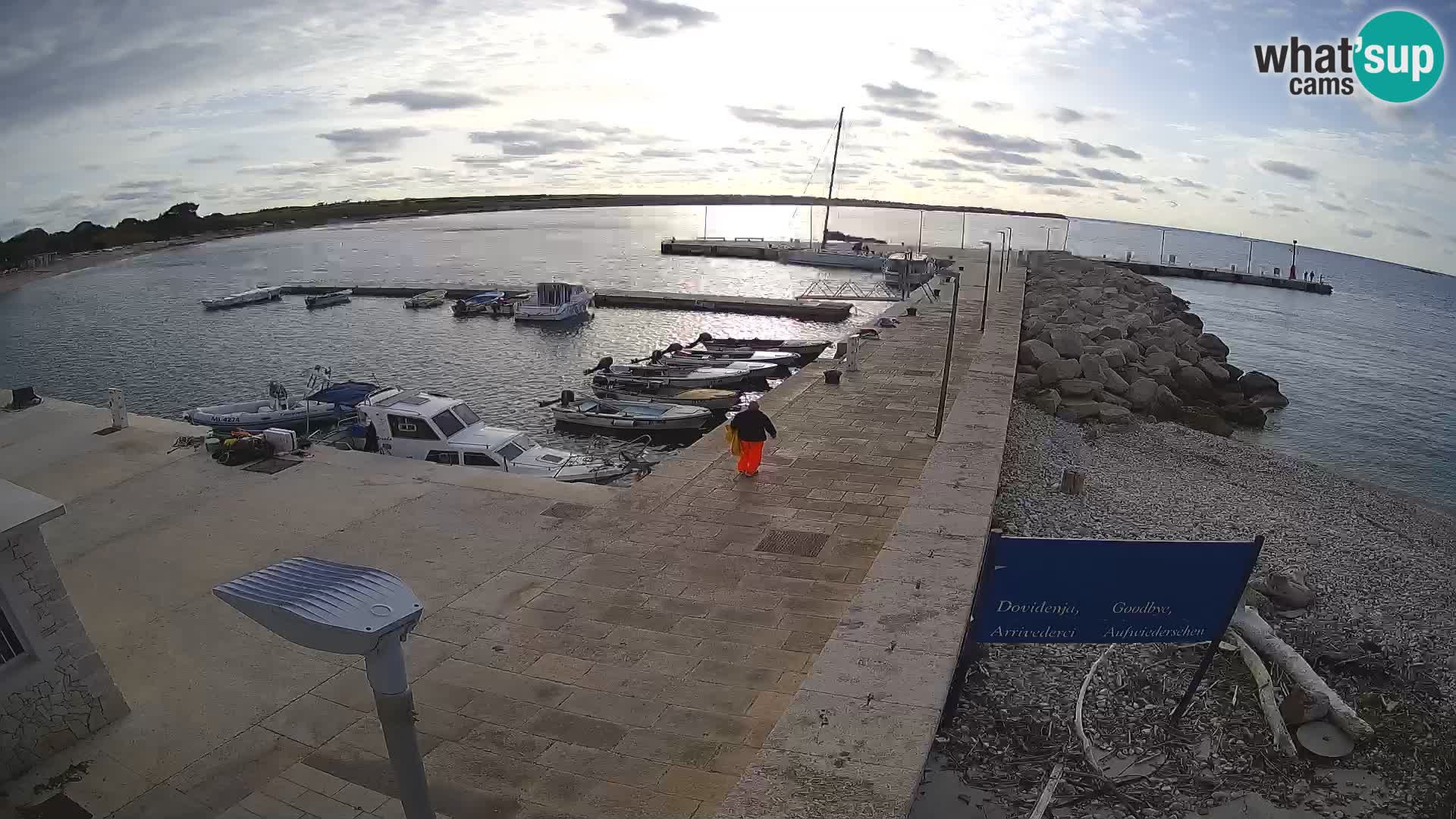 Cámara web de la isla de Unije: explore la belleza de la joya escondida de Croacia