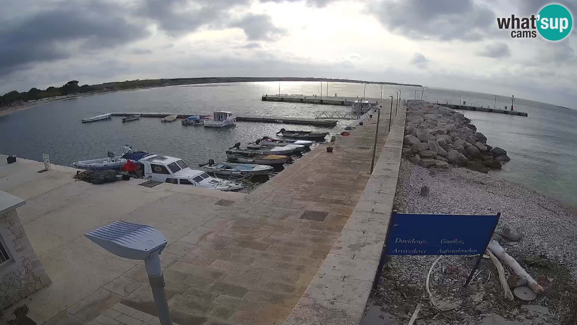 Cámara web de la isla de Unije: explore la belleza de la joya escondida de Croacia