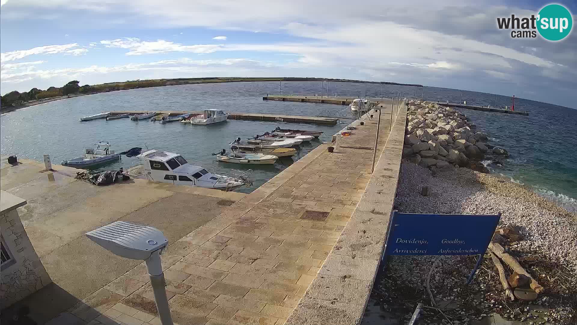 Cámara web de la isla de Unije: explore la belleza de la joya escondida de Croacia