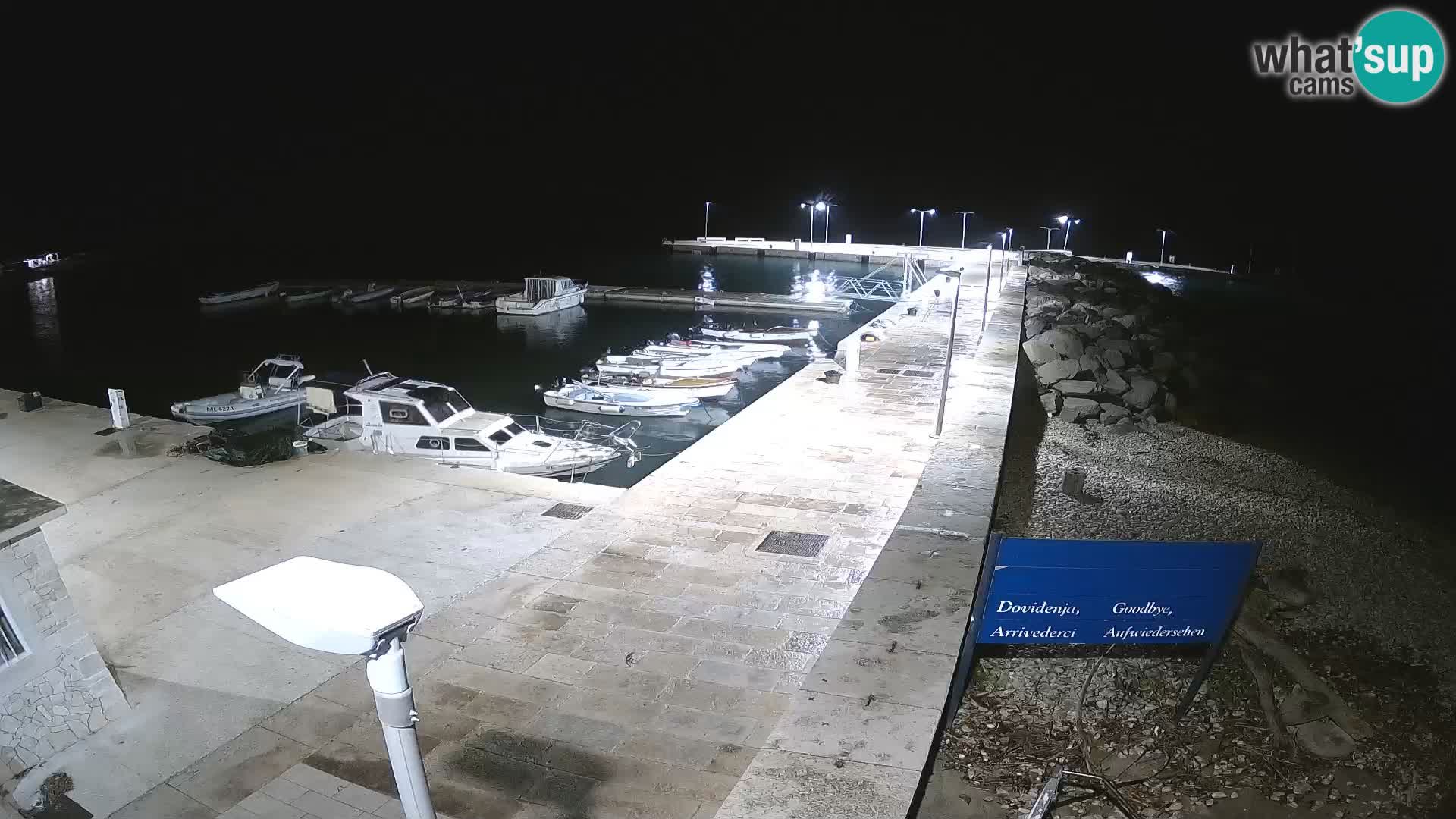 Cámara web de la isla de Unije: explore la belleza de la joya escondida de Croacia