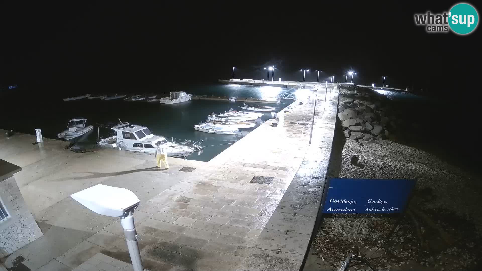 Cámara web de la isla de Unije: explore la belleza de la joya escondida de Croacia