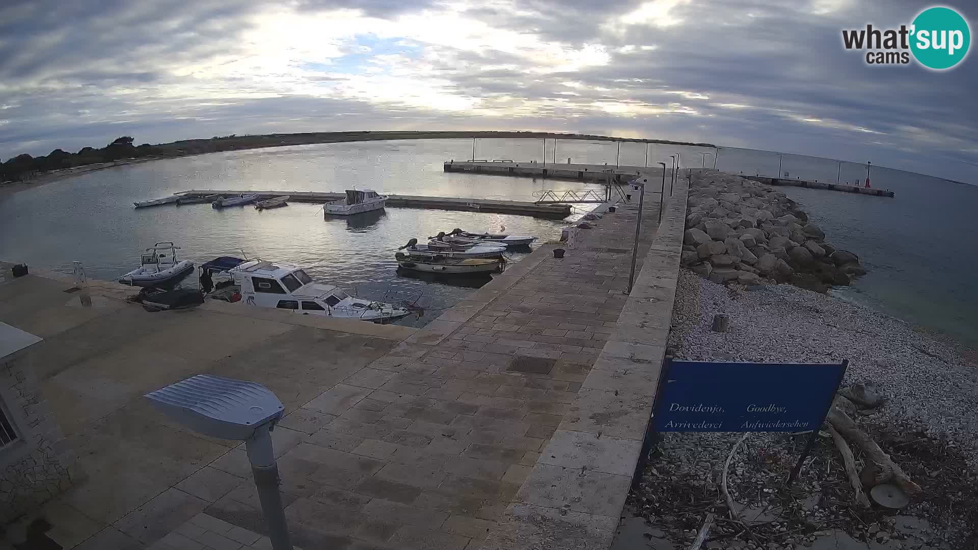 Cámara web de la isla de Unije: explore la belleza de la joya escondida de Croacia