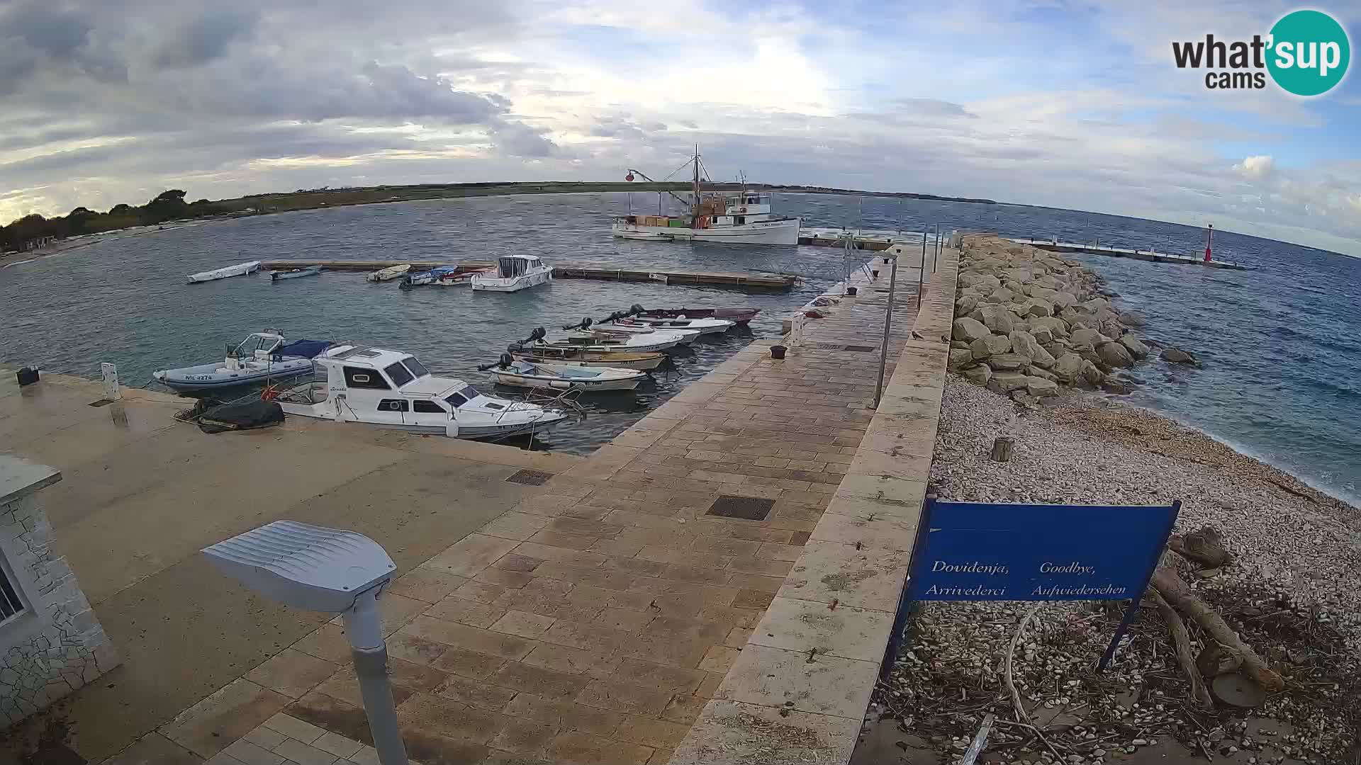 Cámara web de la isla de Unije: explore la belleza de la joya escondida de Croacia