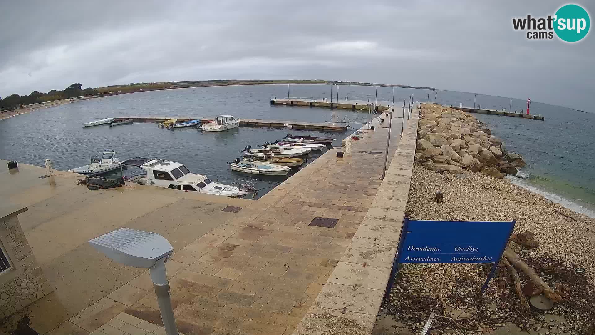 Cámara web de la isla de Unije: explore la belleza de la joya escondida de Croacia