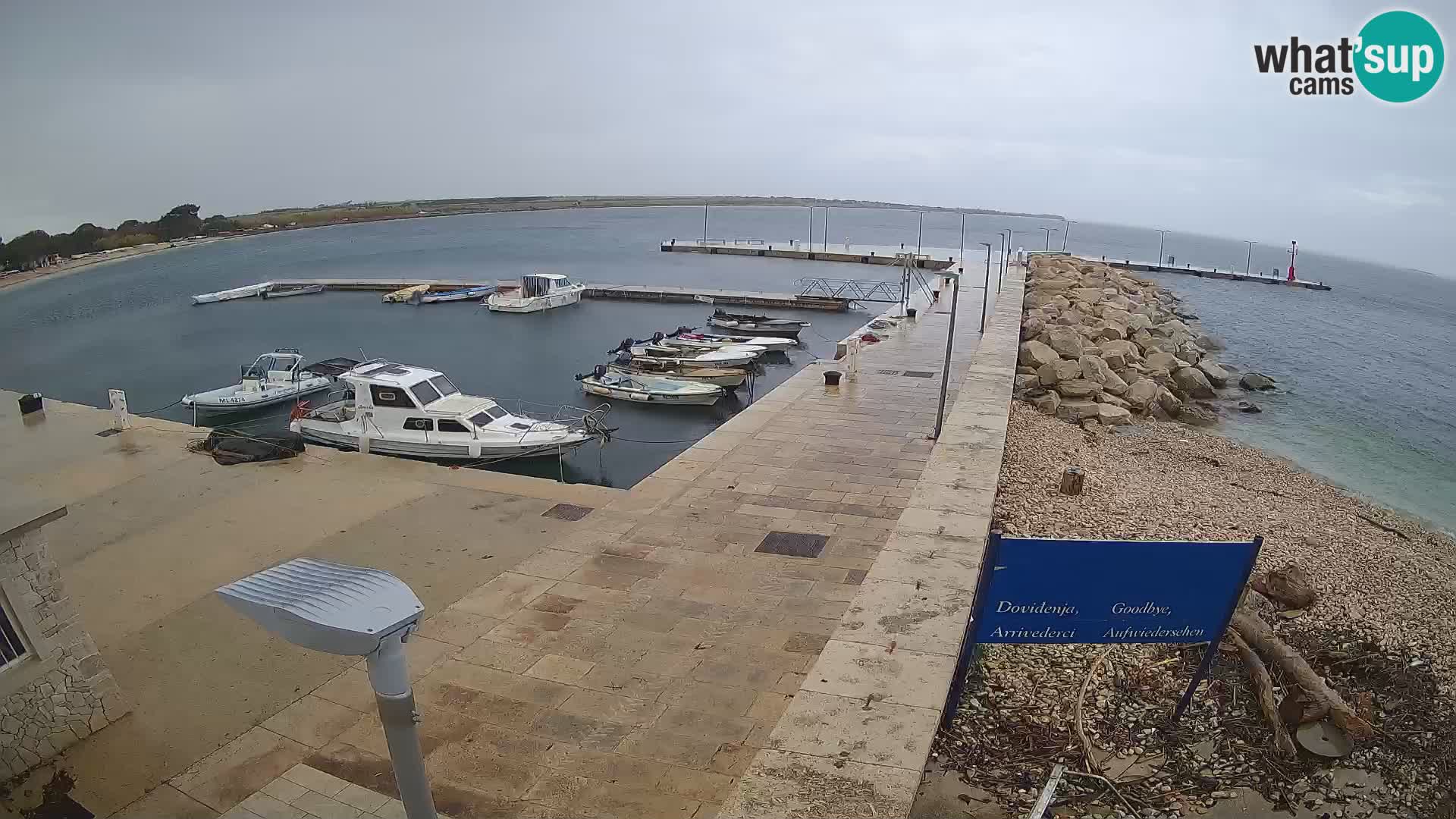 Cámara web de la isla de Unije: explore la belleza de la joya escondida de Croacia