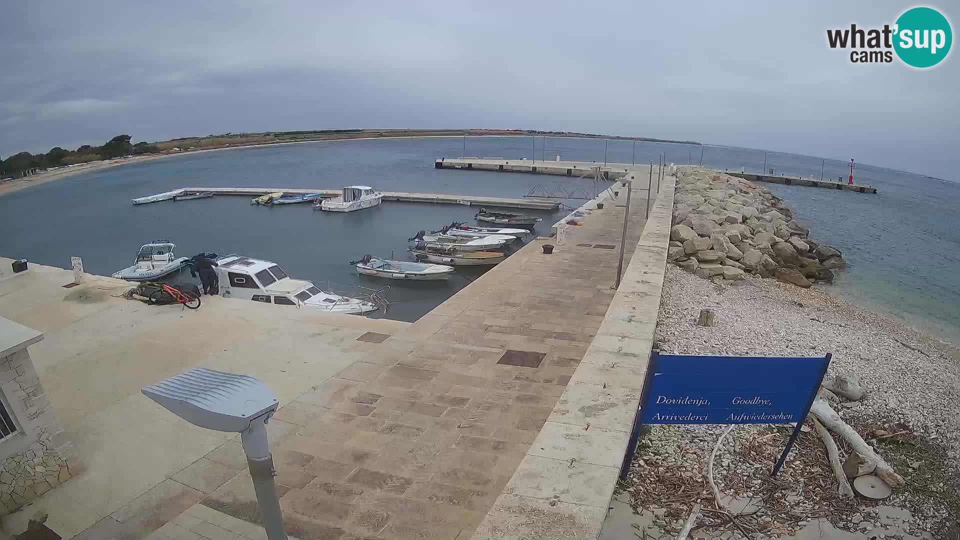 Cámara web de la isla de Unije: explore la belleza de la joya escondida de Croacia