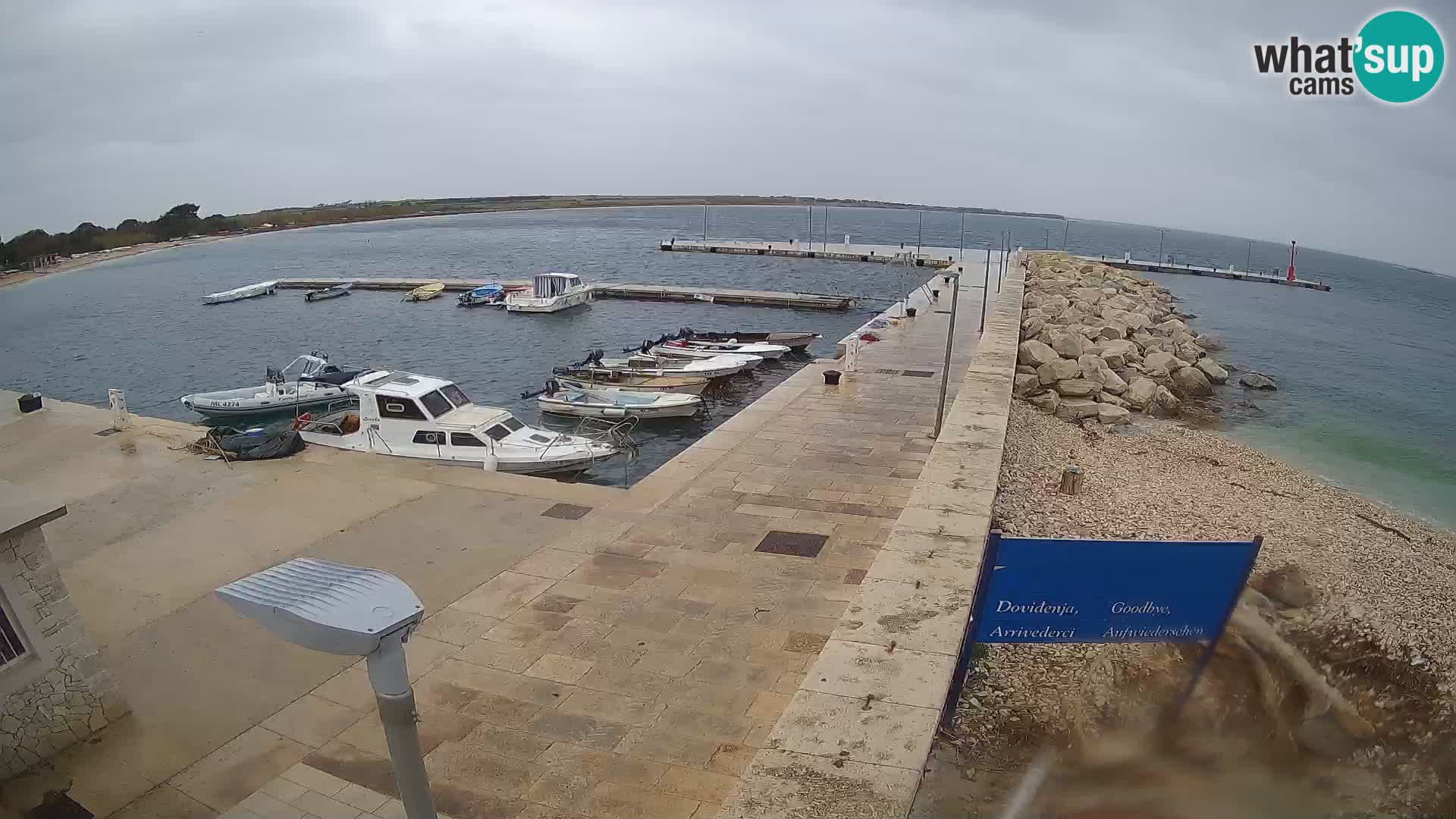 Cámara web de la isla de Unije: explore la belleza de la joya escondida de Croacia