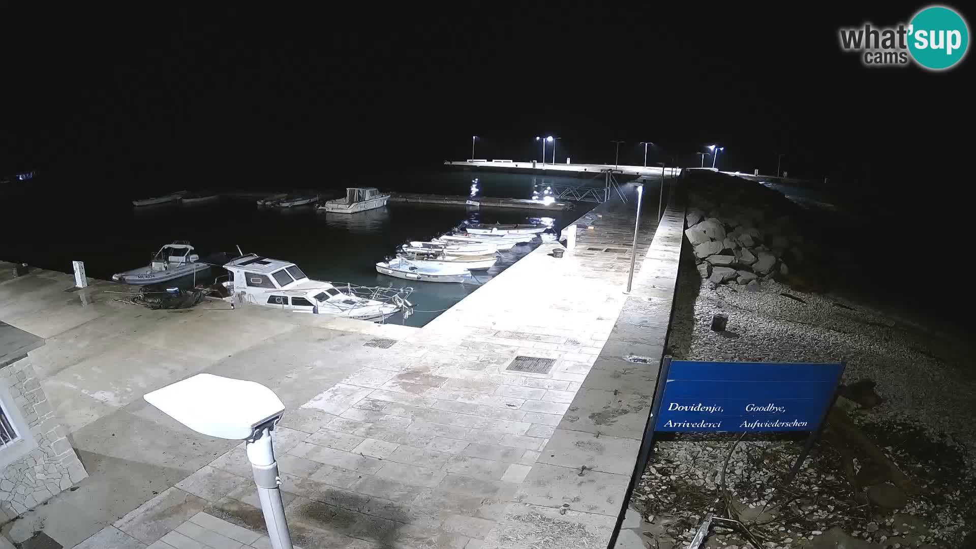 Cámara web de la isla de Unije: explore la belleza de la joya escondida de Croacia