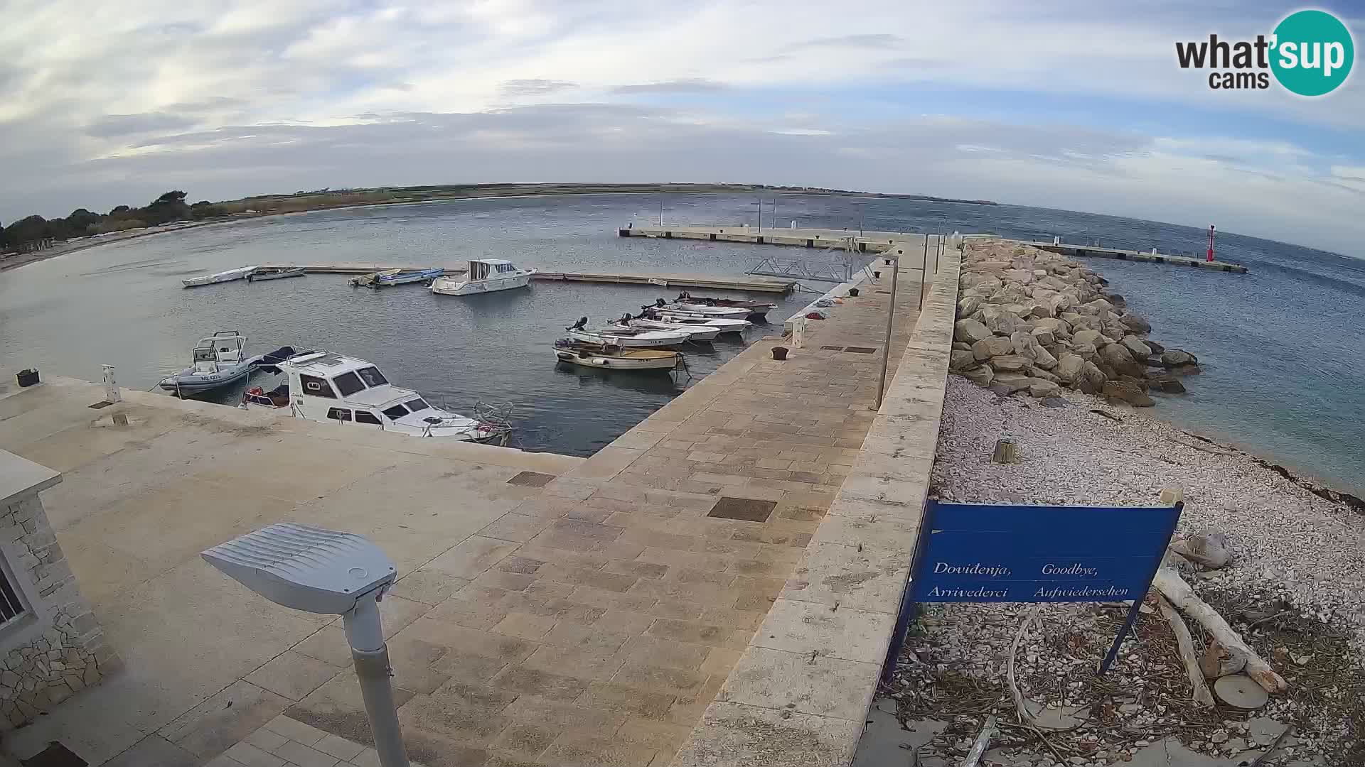 Webcam Isola di Unije – Esplora la bellezza della gemma nascosta della Croazia