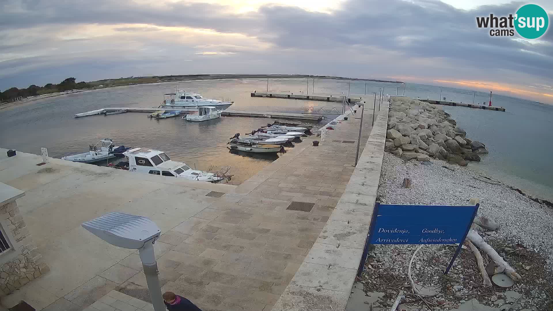 Cámara web de la isla de Unije: explore la belleza de la joya escondida de Croacia