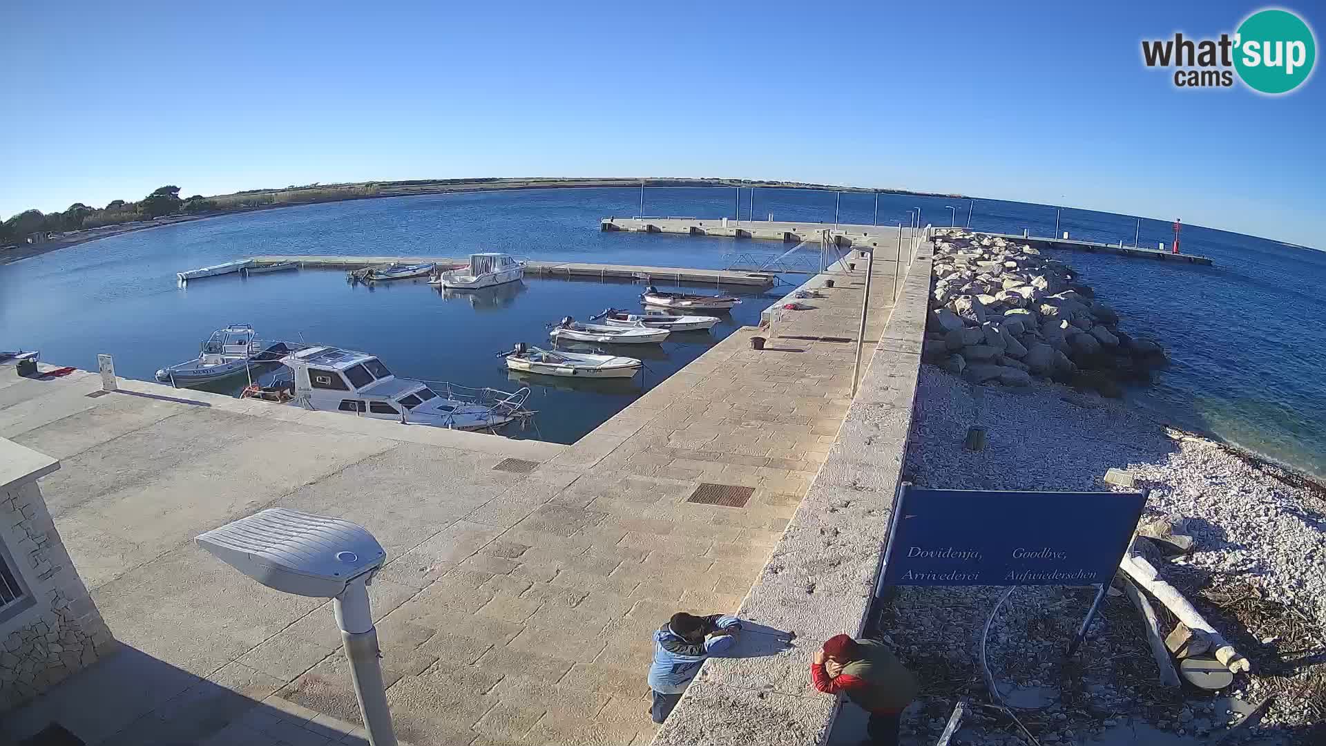 Cámara web de la isla de Unije: explore la belleza de la joya escondida de Croacia