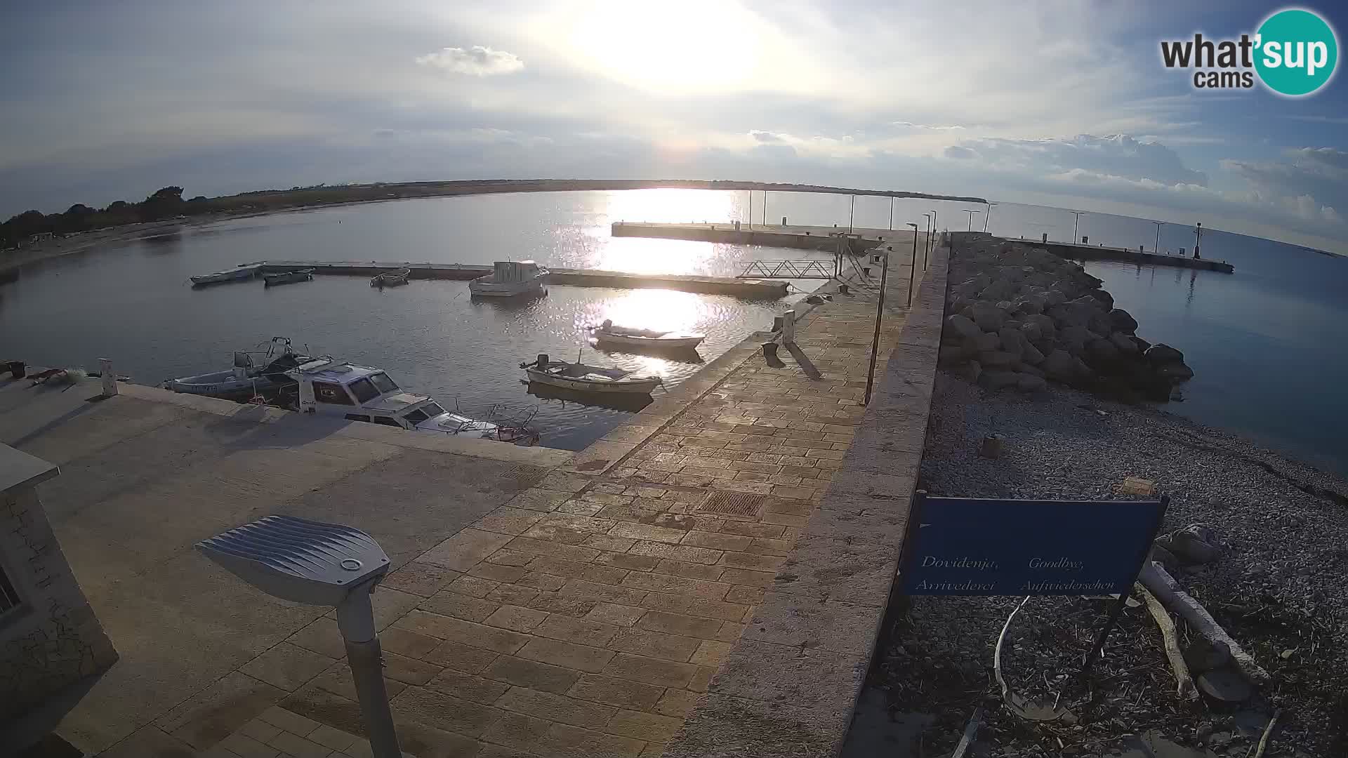 Cámara web de la isla de Unije: explore la belleza de la joya escondida de Croacia