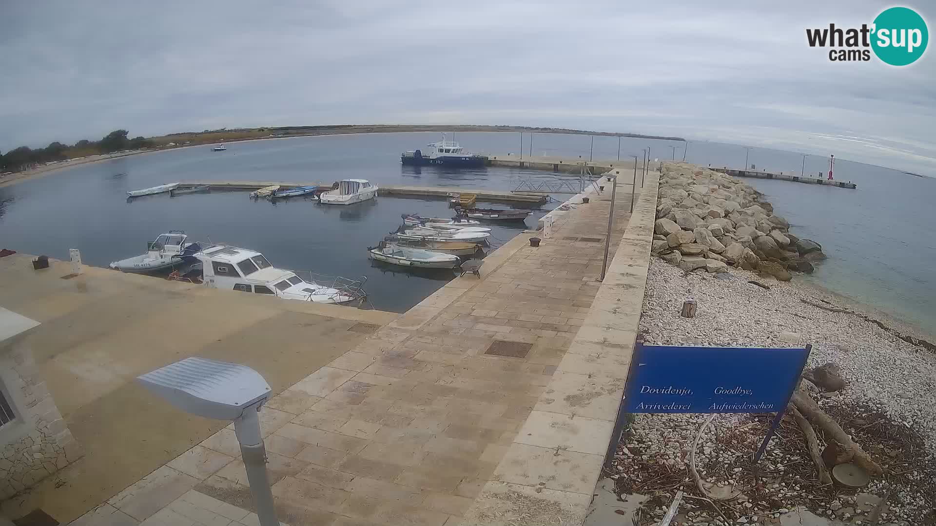 Cámara web de la isla de Unije: explore la belleza de la joya escondida de Croacia