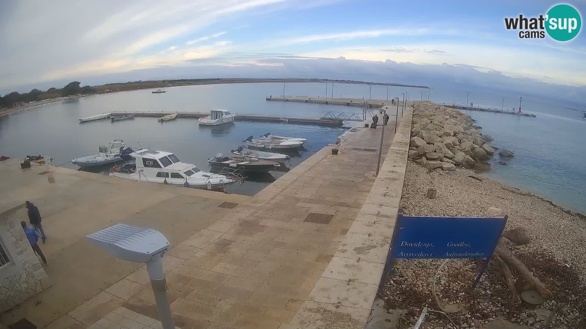 Cámara web de la isla de Unije: explore la belleza de la joya escondida de Croacia