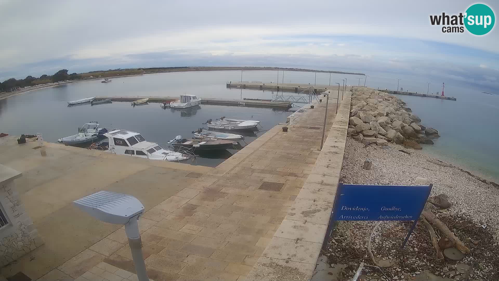 Cámara web de la isla de Unije: explore la belleza de la joya escondida de Croacia