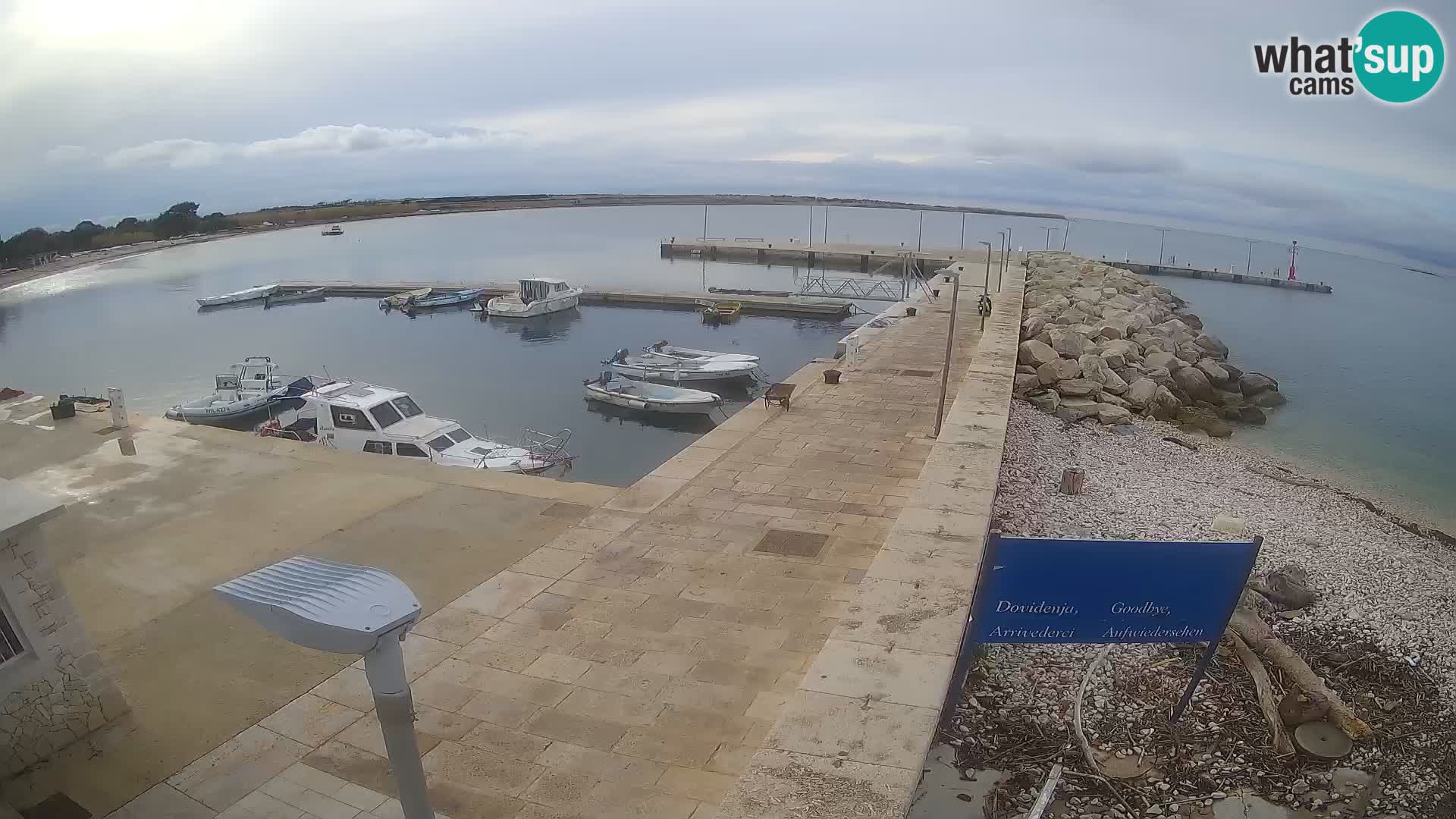 Cámara web de la isla de Unije: explore la belleza de la joya escondida de Croacia