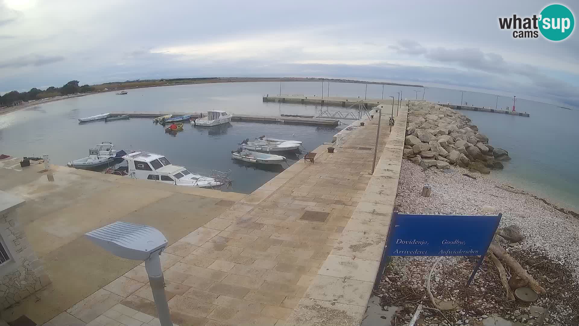 Cámara web de la isla de Unije: explore la belleza de la joya escondida de Croacia