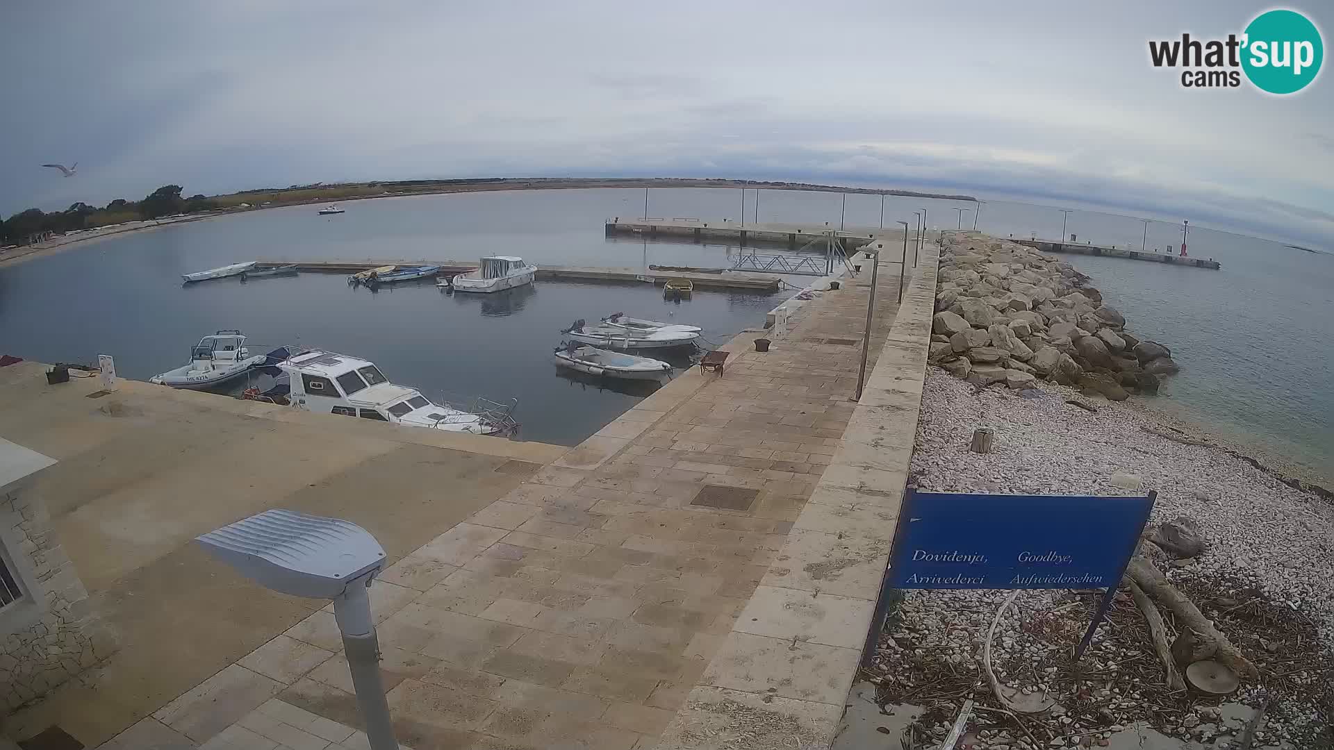 Cámara web de la isla de Unije: explore la belleza de la joya escondida de Croacia