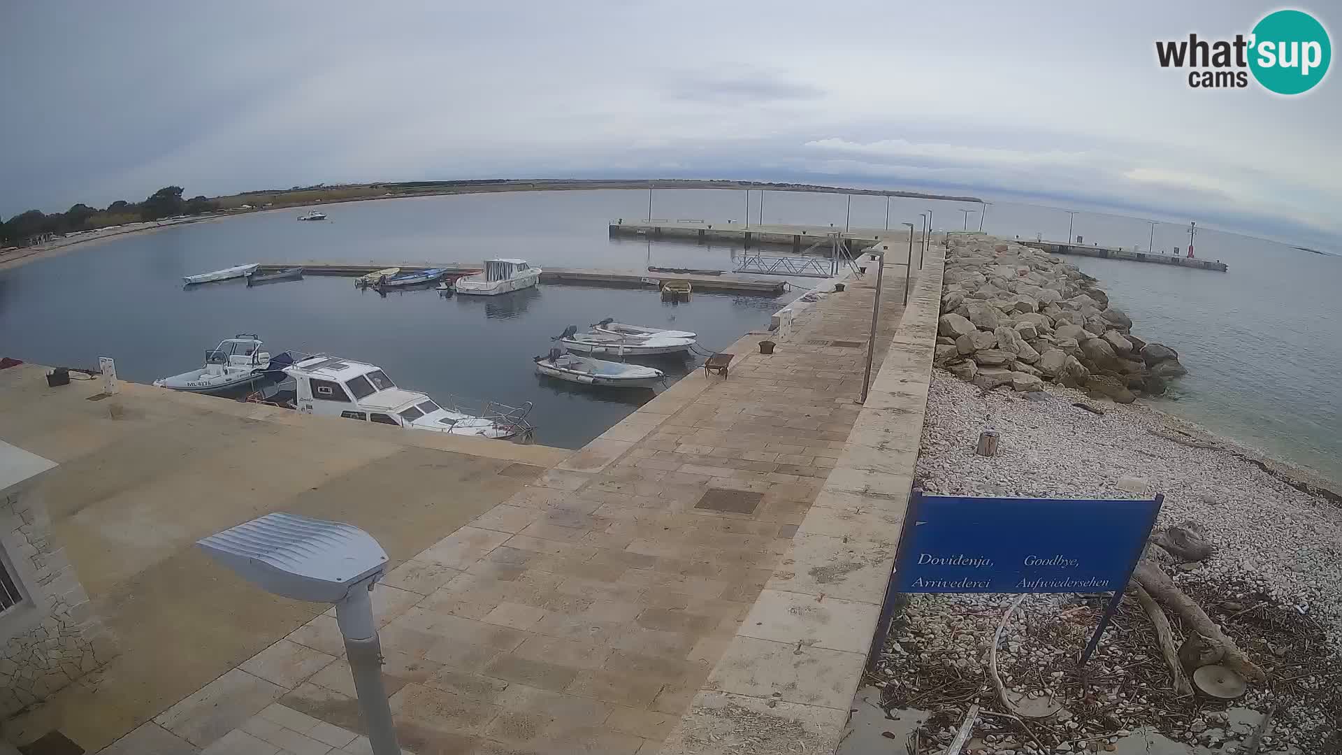 Cámara web de la isla de Unije: explore la belleza de la joya escondida de Croacia