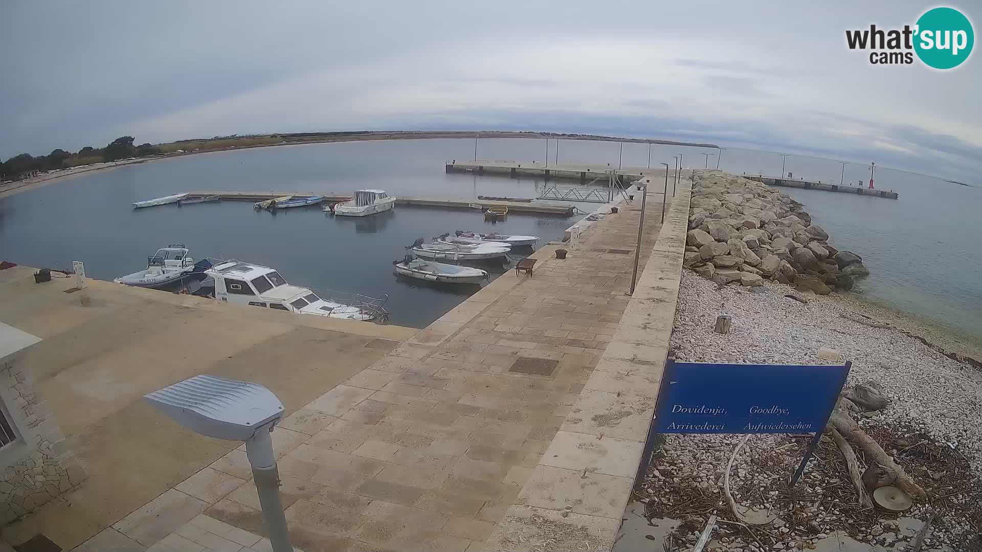 Cámara web de la isla de Unije: explore la belleza de la joya escondida de Croacia