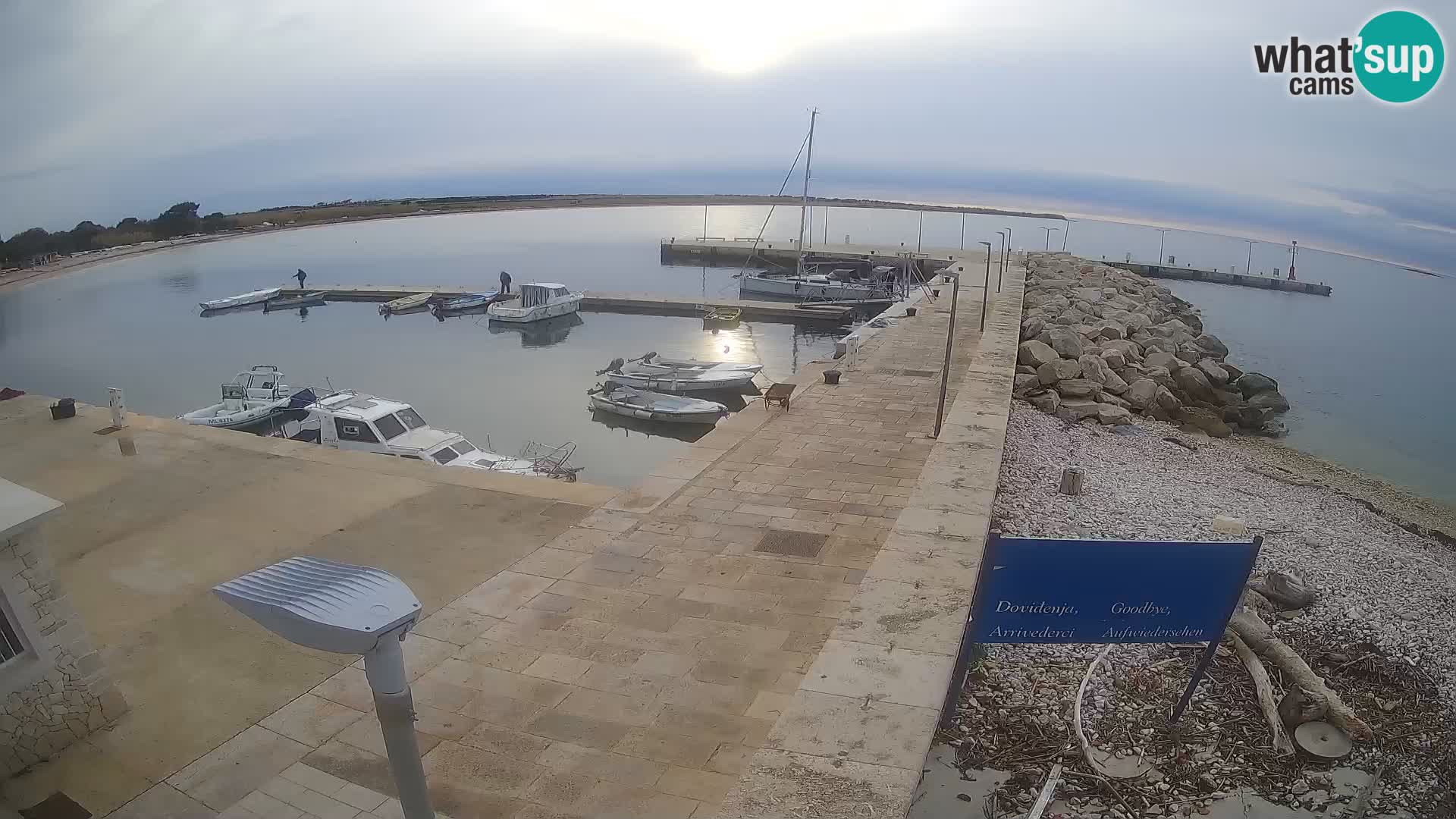 Cámara web de la isla de Unije: explore la belleza de la joya escondida de Croacia