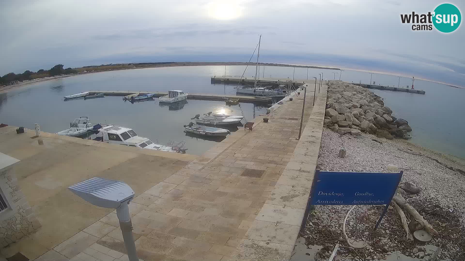 Cámara web de la isla de Unije: explore la belleza de la joya escondida de Croacia