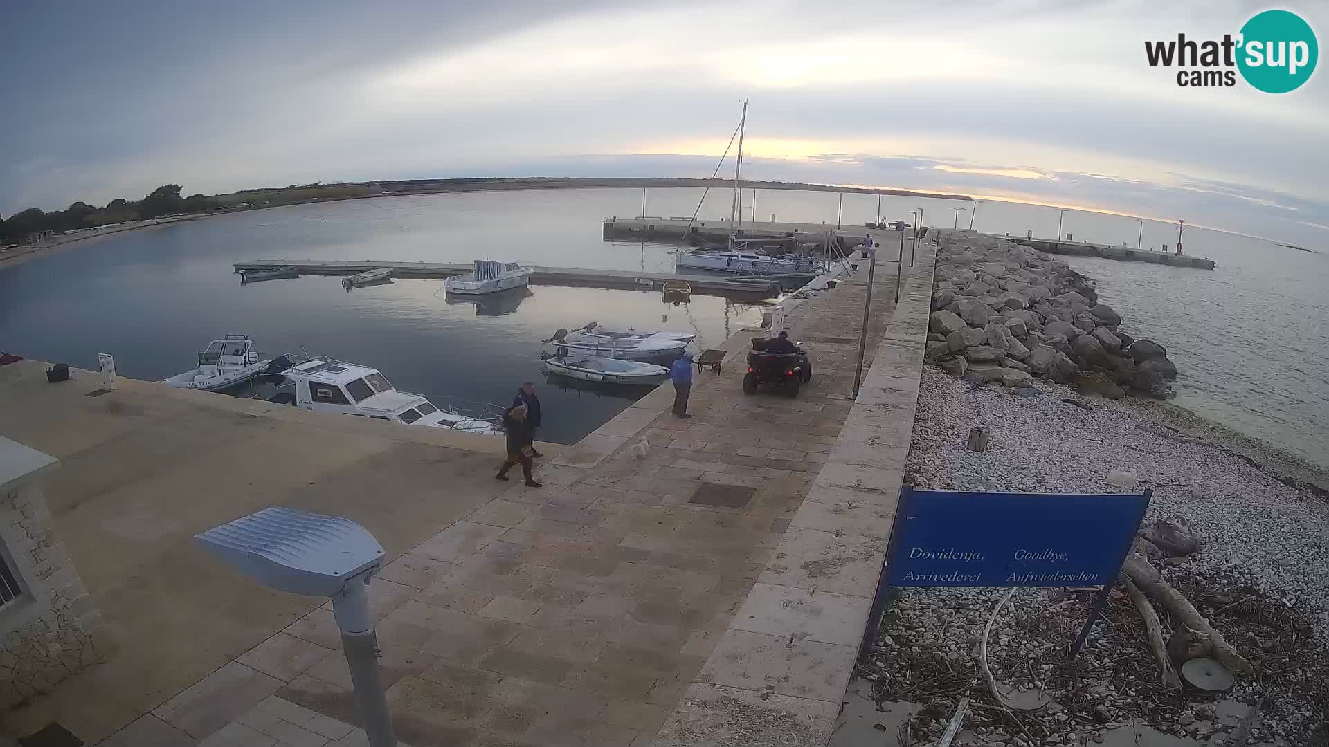 Cámara web de la isla de Unije: explore la belleza de la joya escondida de Croacia