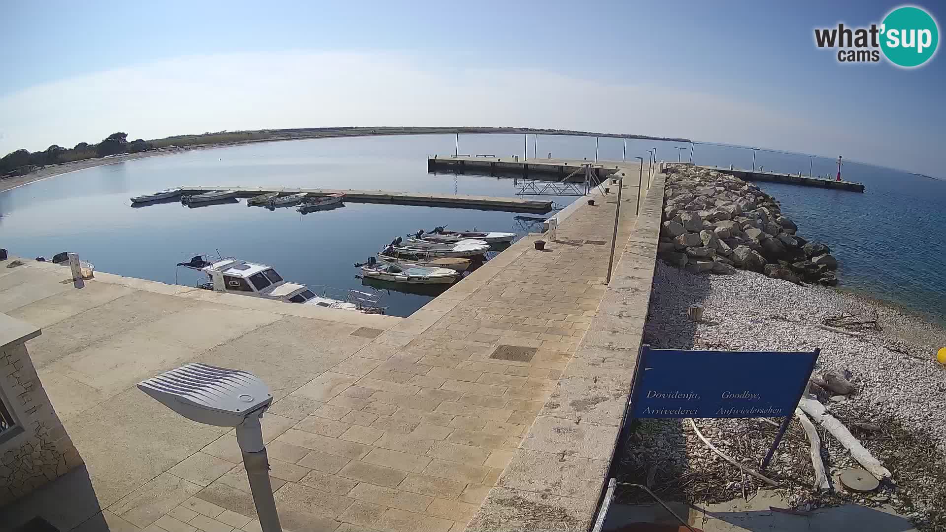 Cámara web de la isla de Unije: explore la belleza de la joya escondida de Croacia