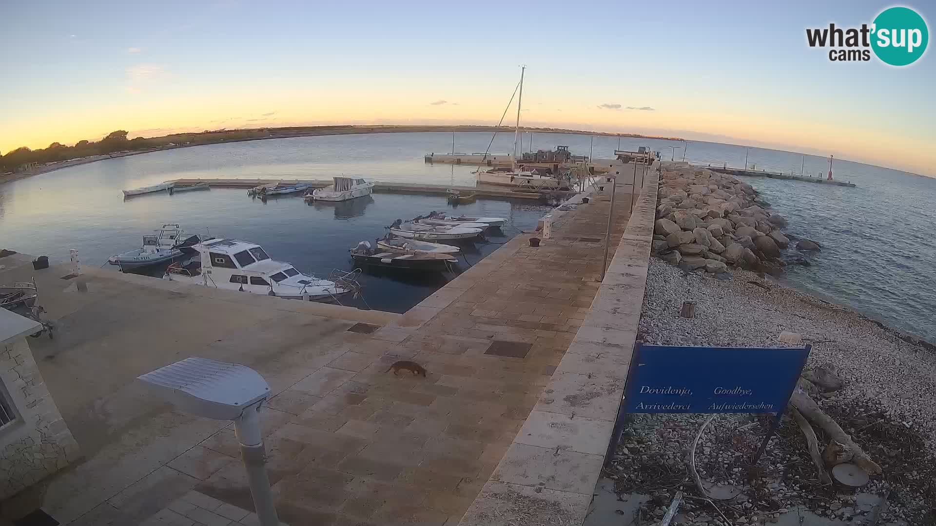 Cámara web de la isla de Unije: explore la belleza de la joya escondida de Croacia