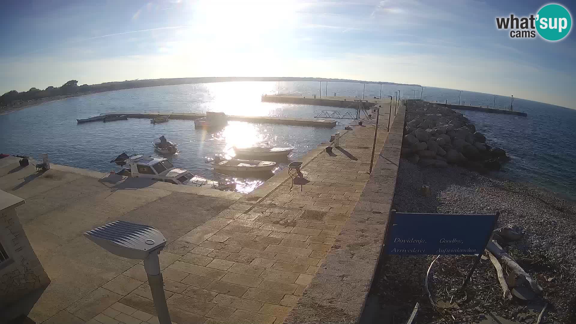 Webcam Isola di Unije – Esplora la bellezza della gemma nascosta della Croazia